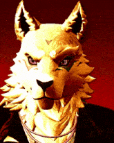a close up of a wolf 's face with a red background