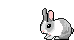 Bunny Rabbit Sticker - Bunny Rabbit Hop Stickers