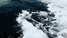 Surfing People Are Awesome GIF - Surfing People Are Awesome Big Wave GIFs