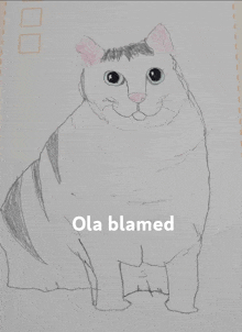 a drawing of a cat with the words ola blamed underneath it