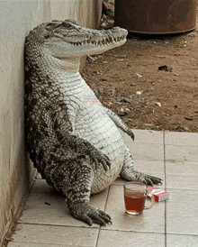 a crocodile leans against a wall next to a cup of tea and cigarettes