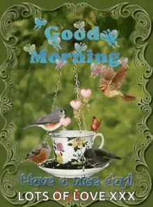 Good Morning Lots Of Love GIF - Good Morning Lots Of Love Flowers GIFs