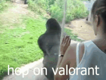 Hop On GIF - Hop On Valorant GIFs