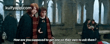 How Are You Supposed To Get One On Their Own To Ask Them ?.Gif GIF - How Are You Supposed To Get One On Their Own To Ask Them ? Harry Potter Q GIFs