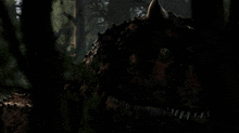 a dark forest with trees and a large rock