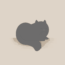 Cat Ayasan GIF - Cat Ayasan GIFs