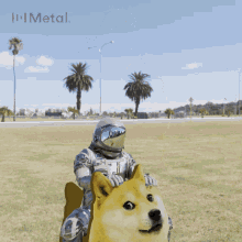 doge dogecoin metal metal pay doge ride