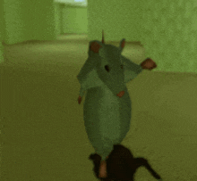 a rat is standing on a person 's head in a room .