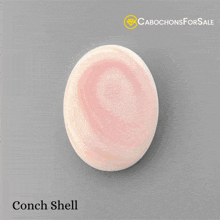 Conch Shell Gemstone For Sale Conch Shell Gem GIF - Conch Shell Gemstone For Sale Conch Shell Gem Conch Shell Meaning GIFs