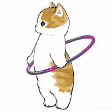 Cat Exercise GIF - Cat Exercise Kitten GIFs