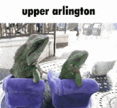 Upper Arlington Ohio GIF - Upper Arlington Ohio Columbus GIFs