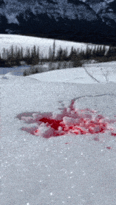 a bloody spot in the snow with a mountain in the background