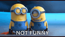 dont make me laugh minions silly cute laugh