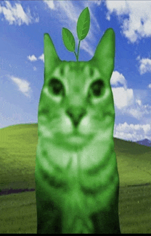 Cat Green Cat GIF - Cat Green Cat Green GIFs