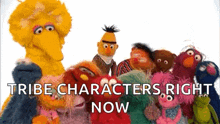 Sesame Street Happy GIF - Sesame Street Happy Squad GIFs