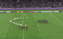 Rugby Haka GIF