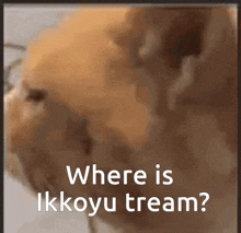 Ikkoyu Ikkoyu Stream GIF - Ikkoyu Ikkoyu Stream Weine GIFs
