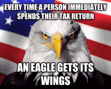 Tax Return Eagle GIF