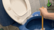 Toilet Cleaning GIF