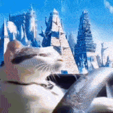 GIF