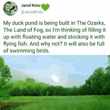 Duck Pond Ozarks GIF - Duck Pond Ozarks Beauty GIFs