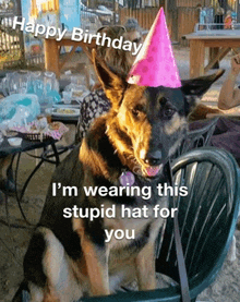 Happy Birthday Wishes Dog Birthday GIF - Happy Birthday Wishes Dog Birthday Happy Birthday Dog GIFs