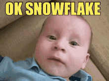 Ok Snowflake Snowflake GIF - Ok Snowflake Snowflake Millennials GIFs