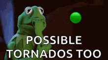 kermit the frog is holding his hand to his mouth and thinking about tornadoes .