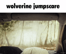 a picture of wolverine jumpscare with a car in the background