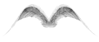 a pair of white angel wings spread out on a white background