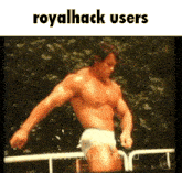 Royalhack Royalhackdotnet GIF - Royalhack Royalhackdotnet Rijin GIFs