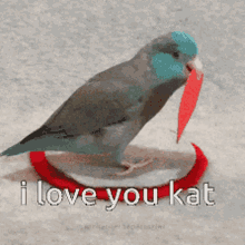Kat I Love You GIF