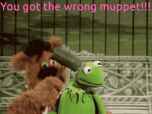 Muppets GIF - Muppets GIFs