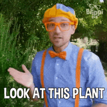 Look At This Plant Blippi GIF - Look At This Plant Blippi Blippi Wonders Educational Cartoons For Kids GIFs