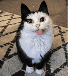 a black and white cat sitting on a rug with its tongue out