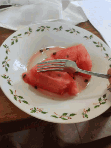 Watermelon Slice GIF