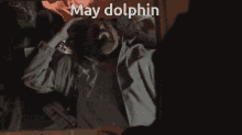 May Dolphin GIF - May Dolphin Guilty Gear GIFs