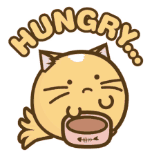 cat cats hungry ball