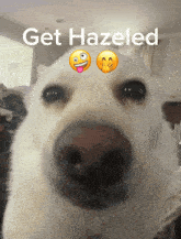 Get Hazeled GIF - Get Hazeled GIFs