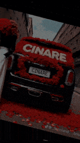 çinare77 GIF