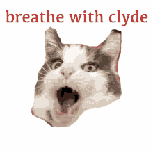 Breathe With Clyde Tails Out GIF - Breathe With Clyde Tails Out Wet Wipes GIFs