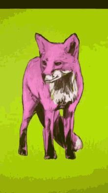 Pink Fox GIF - Pink Fox Animation GIFs