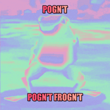 Frog Pog GIF - Frog Pog Pogn'T GIFs