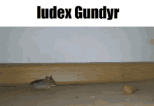 Iudex Gundyr GIF - Iudex Gundyr Iudex Gundyr GIFs