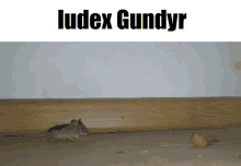 Iudex Gundyr GIF