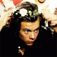harry styles flower crown on stage