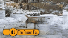 omnia omnia gifs factsverse factsverse gifs the frozen fox
