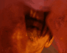 a close up of a person 's face with chinese writing on the bottom right