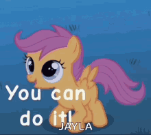 My Little Pony Mlp GIF - My Little Pony Mlp You Can Do It GIFs