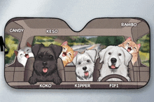 Cats And Dogs In A Car GIF - Cats And Dogs In A Car GIFs